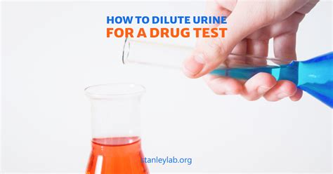 contact solution bottle drug test|dilution of urine for drug testing.